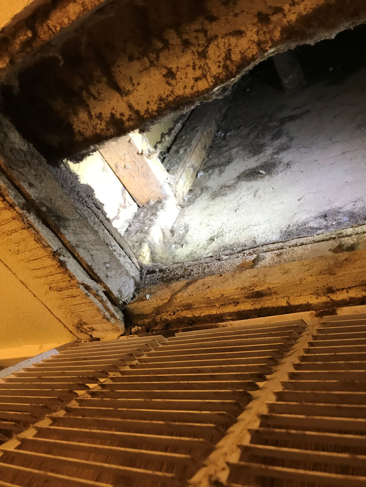 Mold damage is pictured in the house of senior airman Abigaila Courtney at Tinker Air Force Base, Oklahoma, U.S. in this handout photo